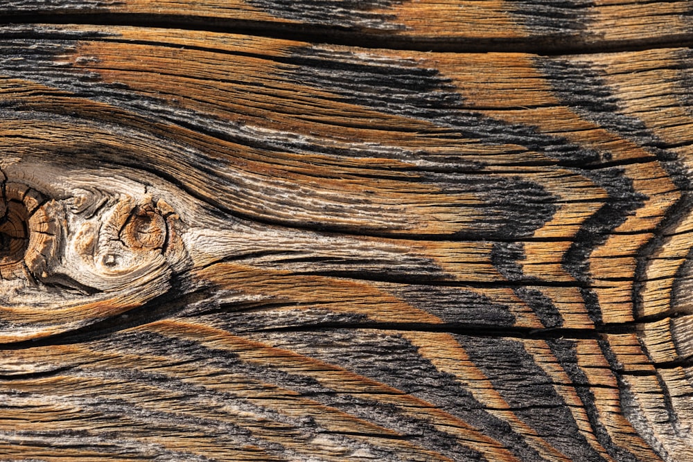 brown wood log in close up photography