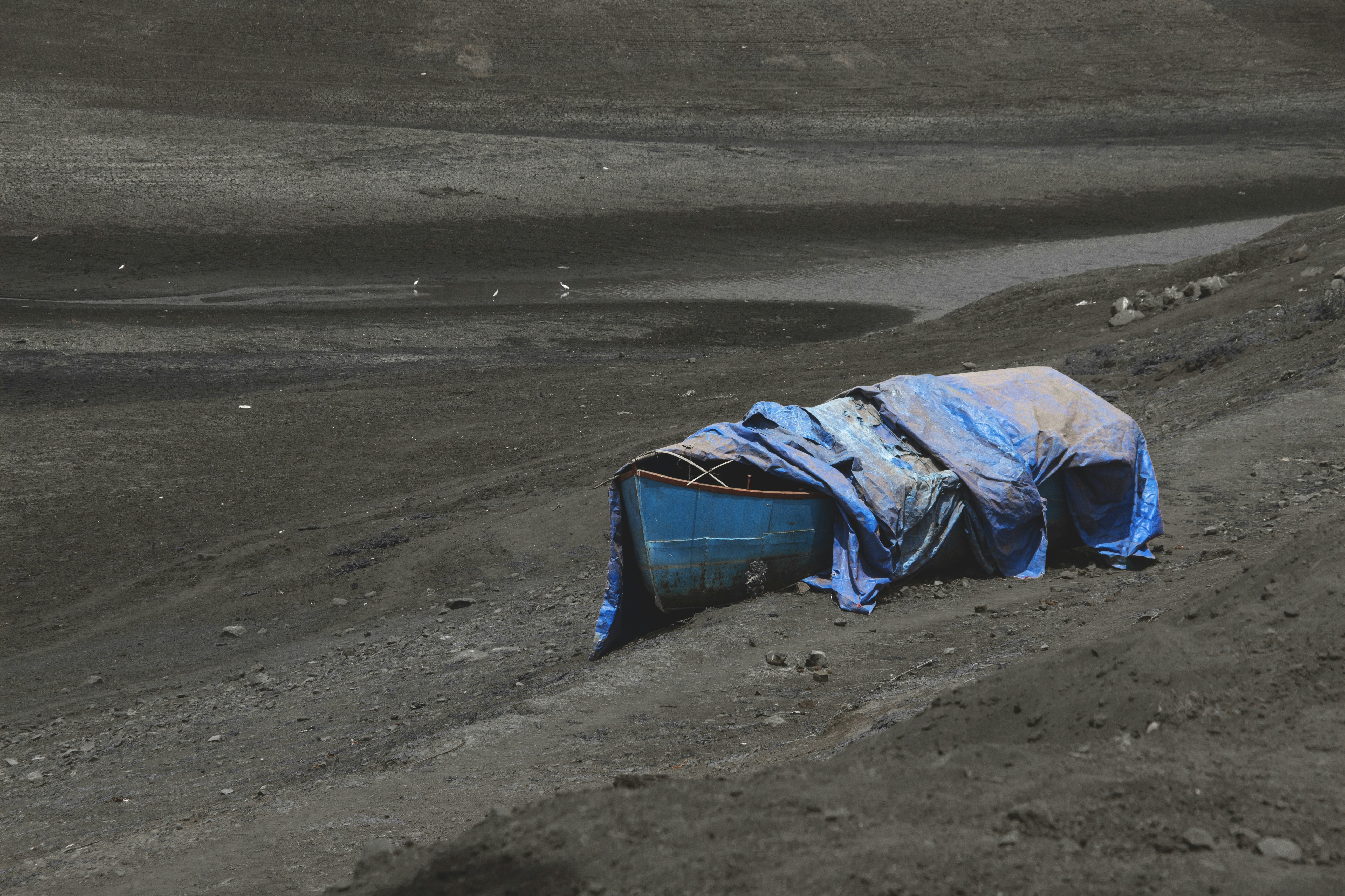 Photo by setu_chhaya