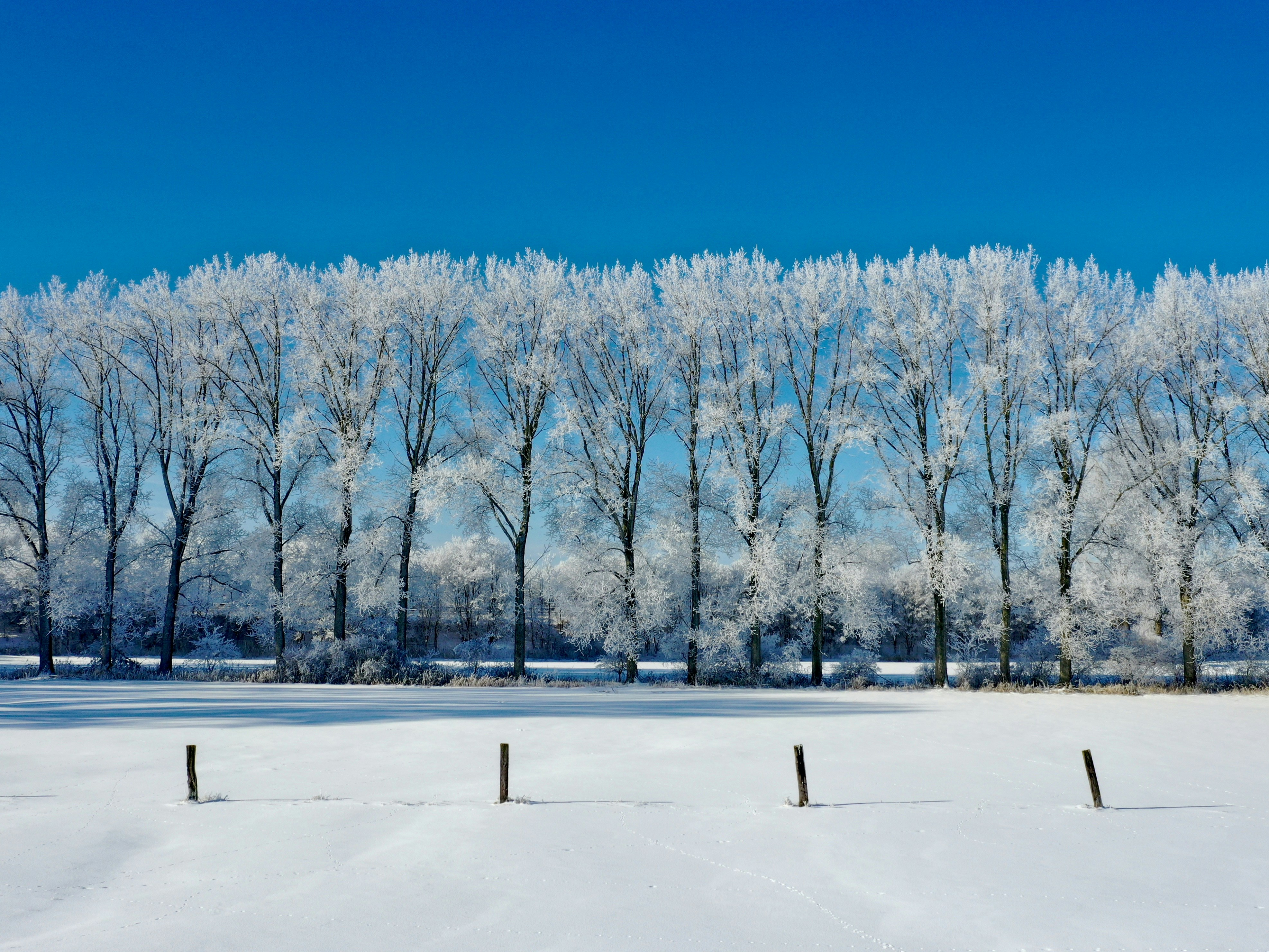 Photo by andreasfelske