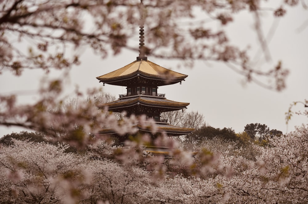 昼間は木々に囲まれた茶色と白のパゴダ寺院