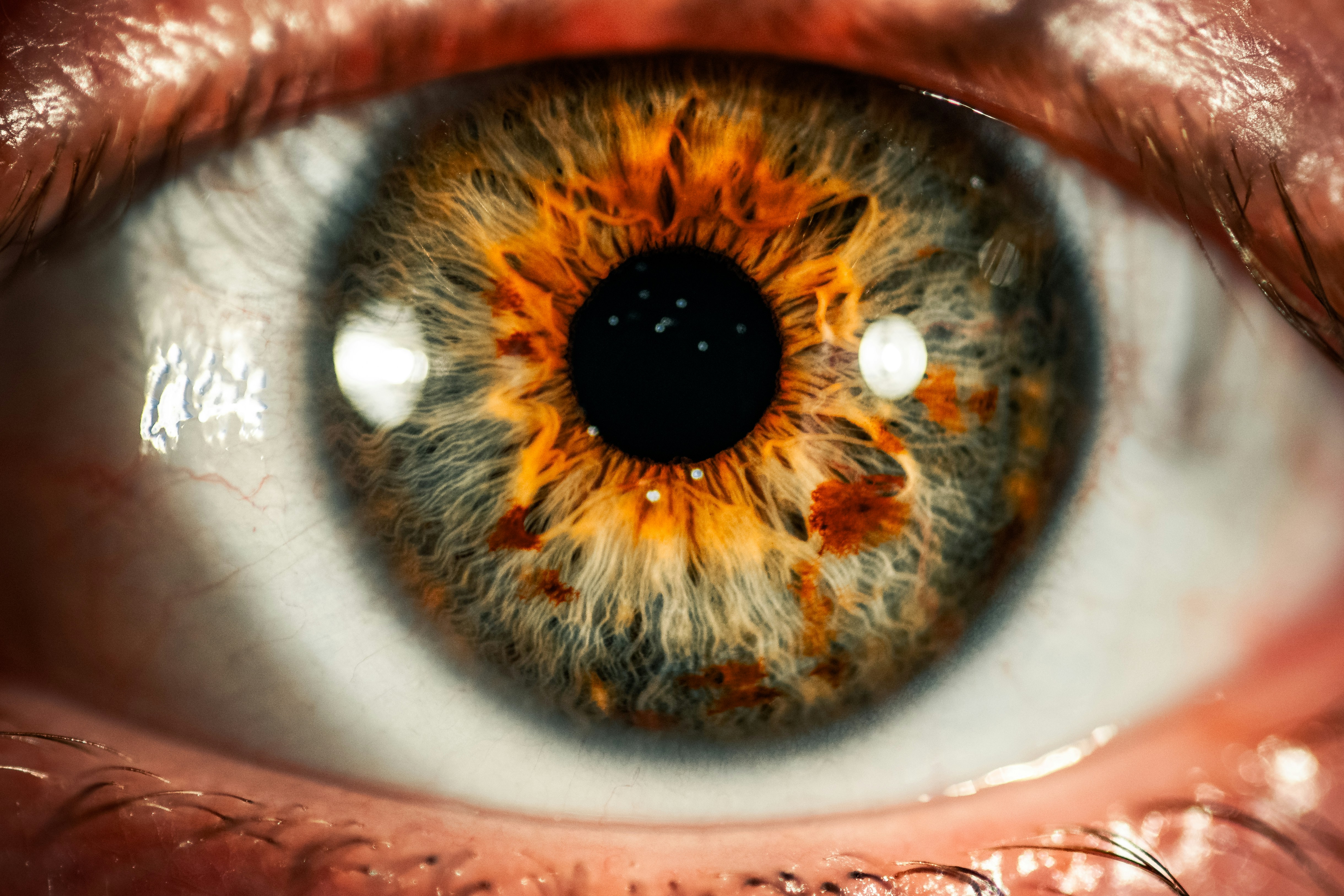 AI Can Predict Eye Movements