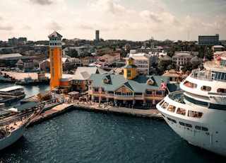 white and blue cruise ship on dock during daytime