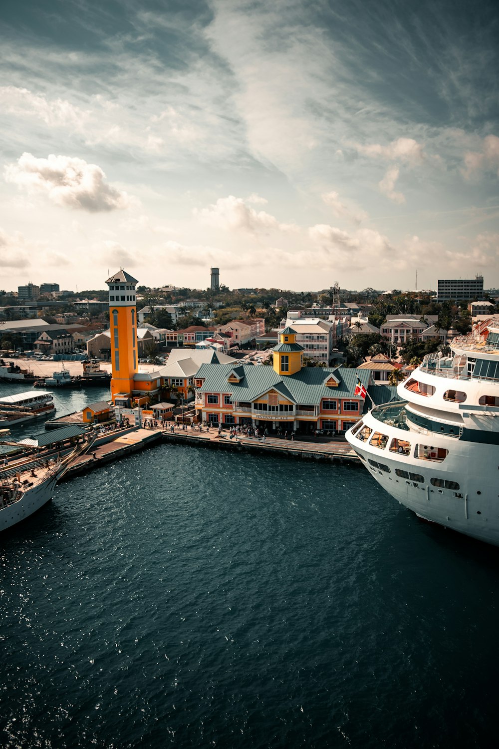 weißes und blaues Kreuzfahrtschiff tagsüber am Dock