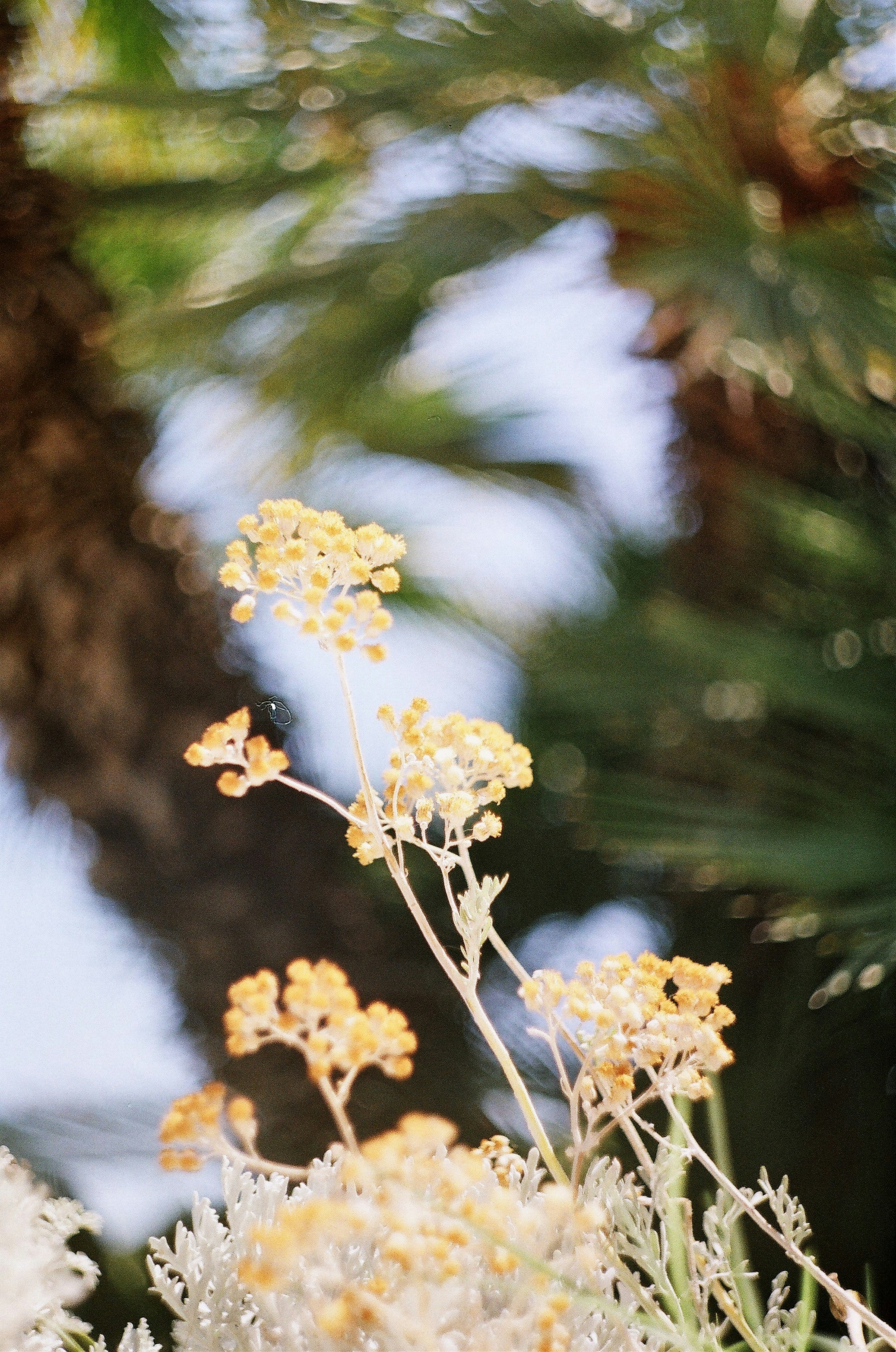 Photo by olgaanoshkina