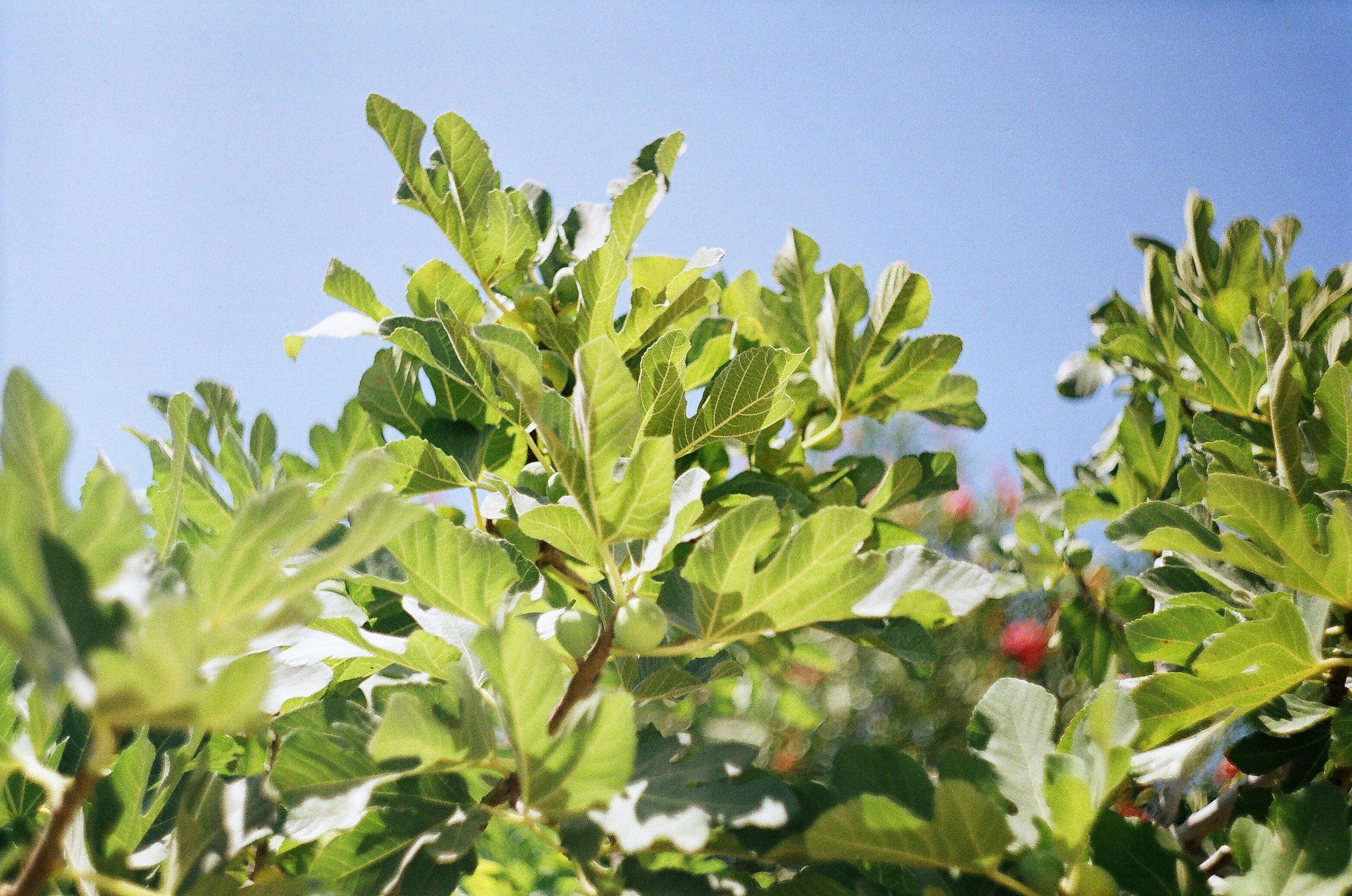 Photo by olgaanoshkina