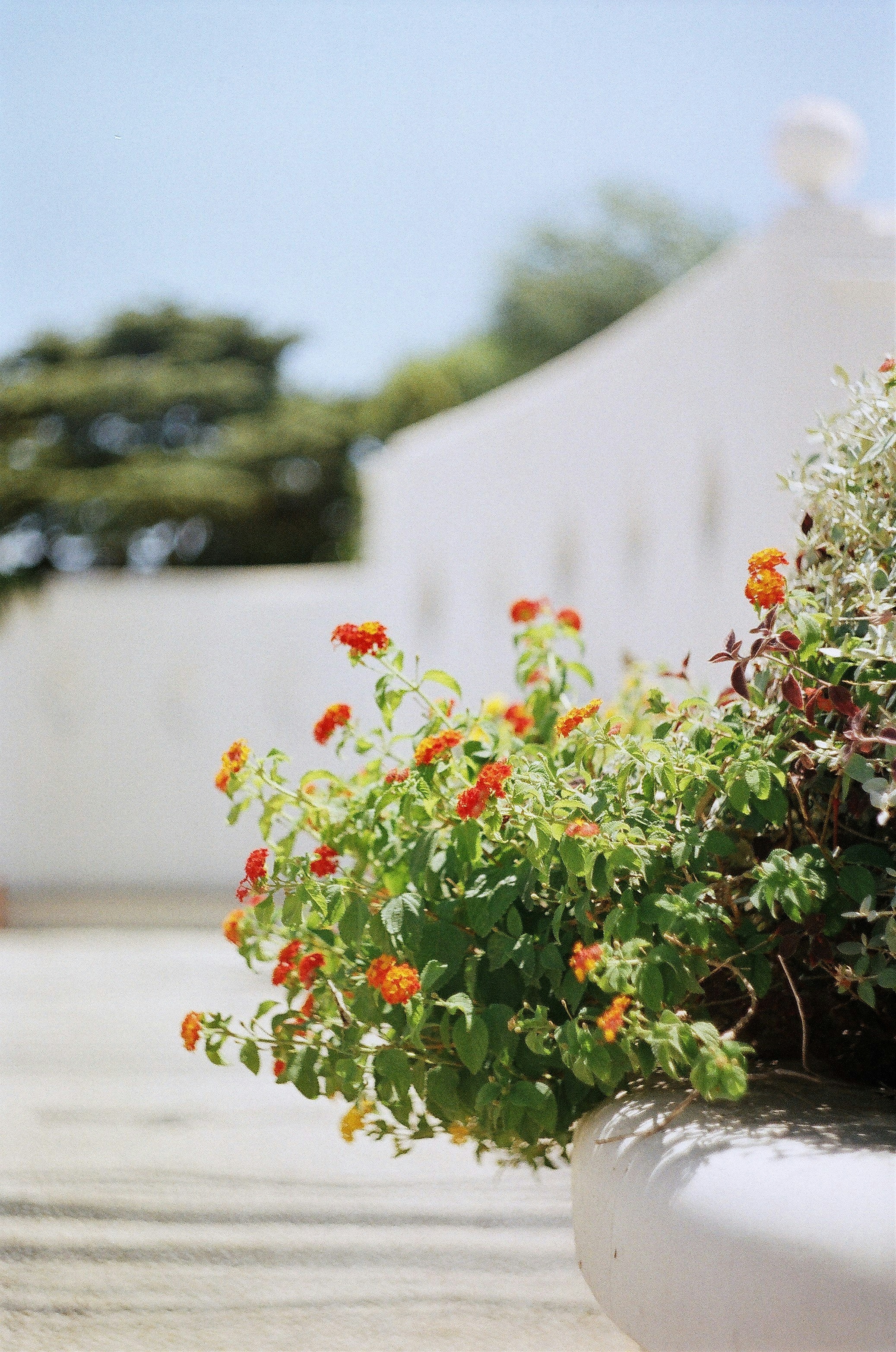 Photo by olgaanoshkina