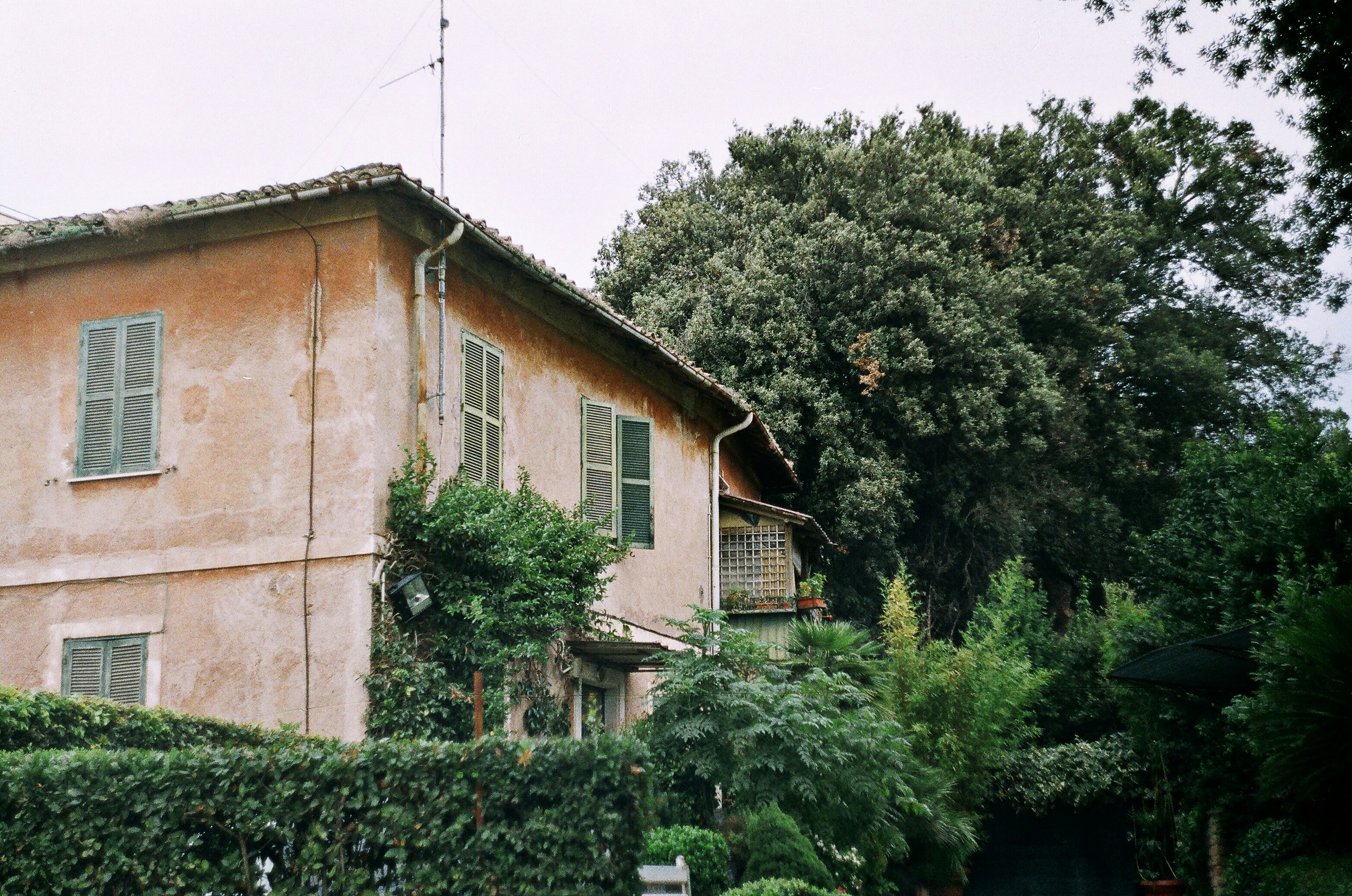 Photo by olgaanoshkina