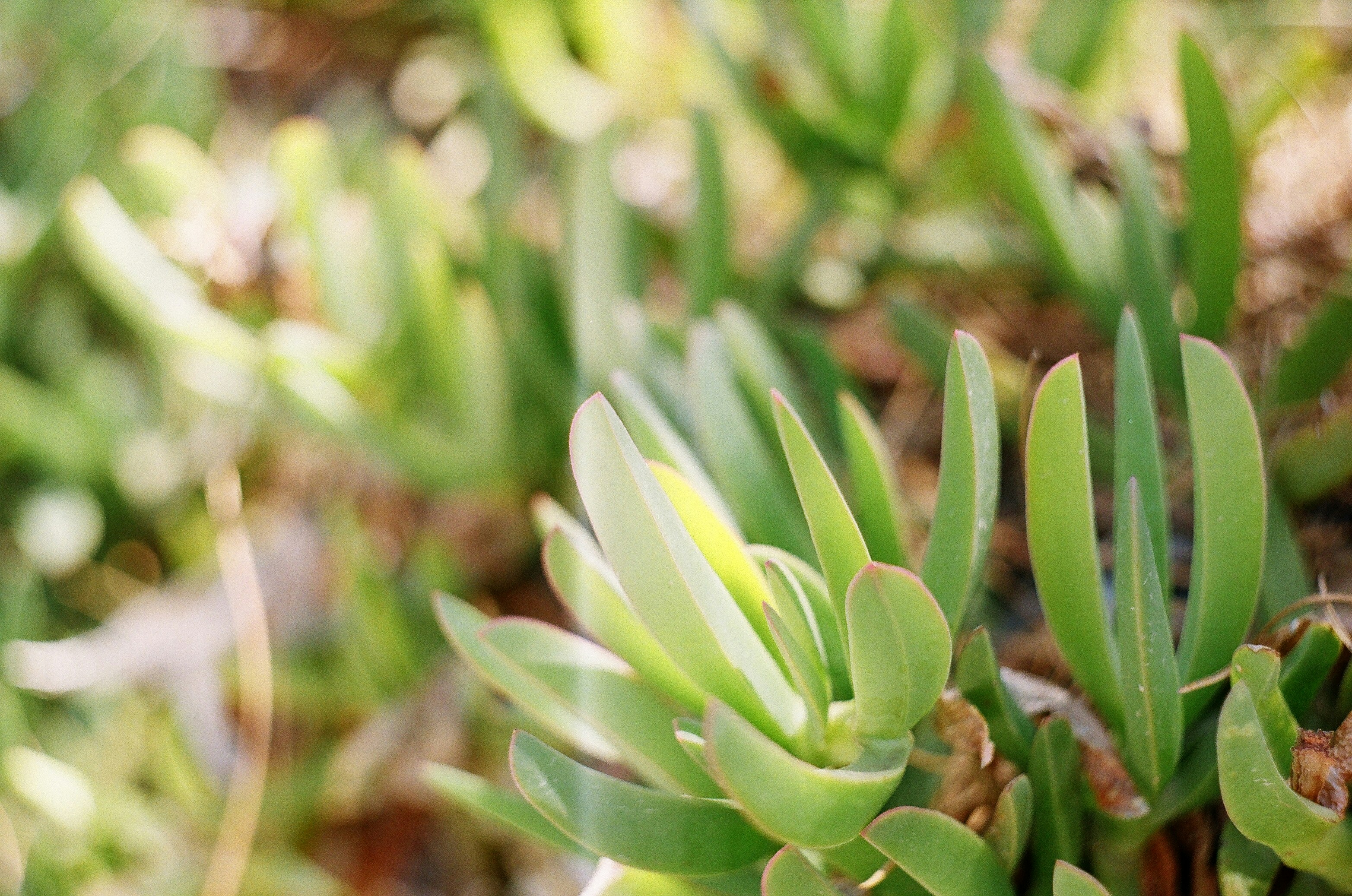 Photo by olgaanoshkina