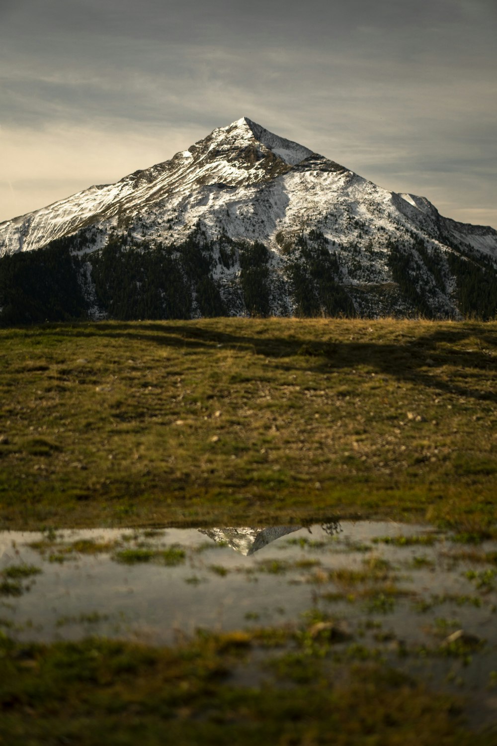 green grass field near snow covered mountain during daytime