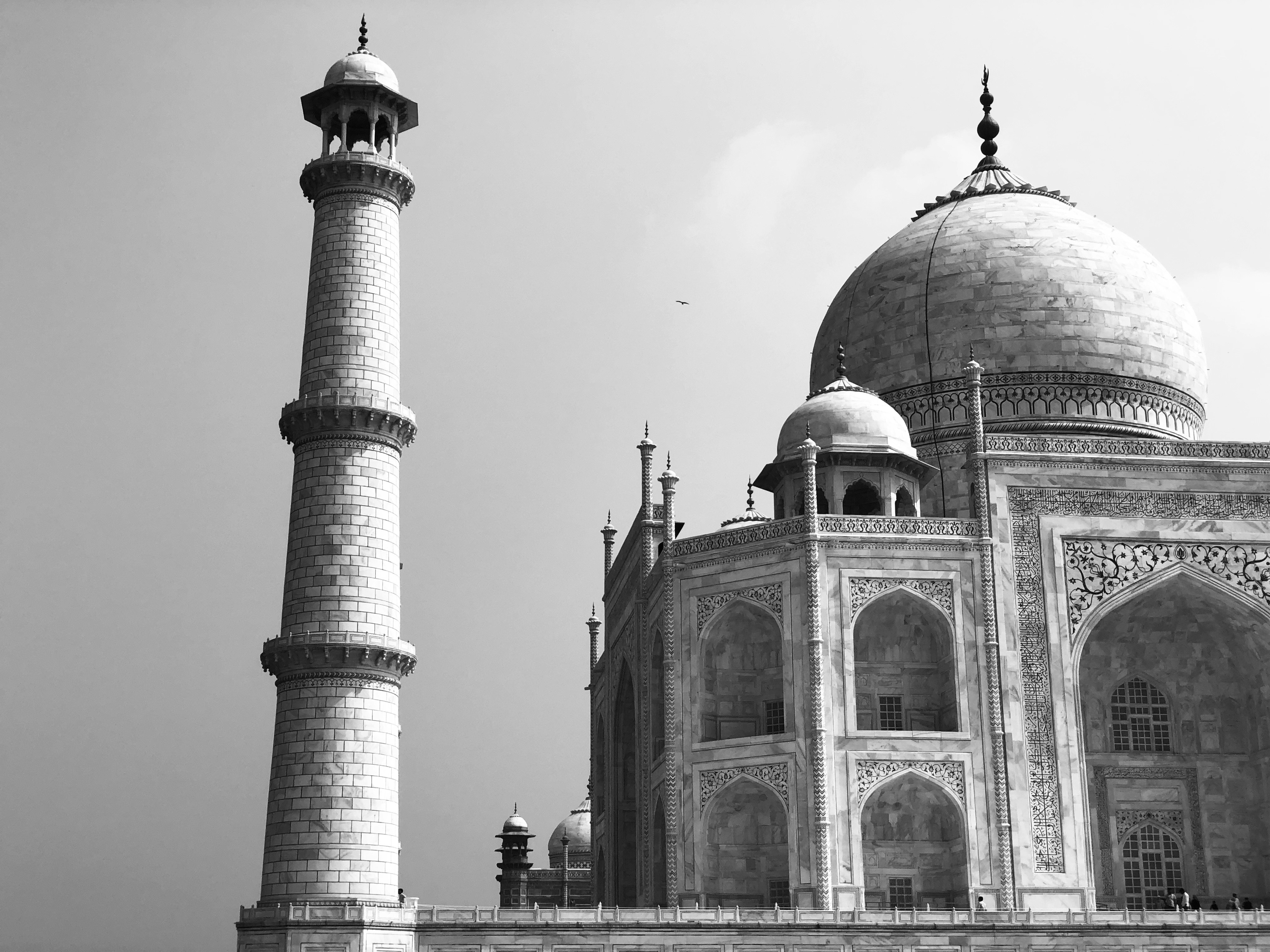 Photo by creuxprophet