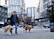 A person is walking two golden retrievers on leashes in an urban setting. High-rise buildings and various urban elements, such as traffic lights and parked cars, create a city atmosphere. Trees are visible, indicating a blend of nature within the city.