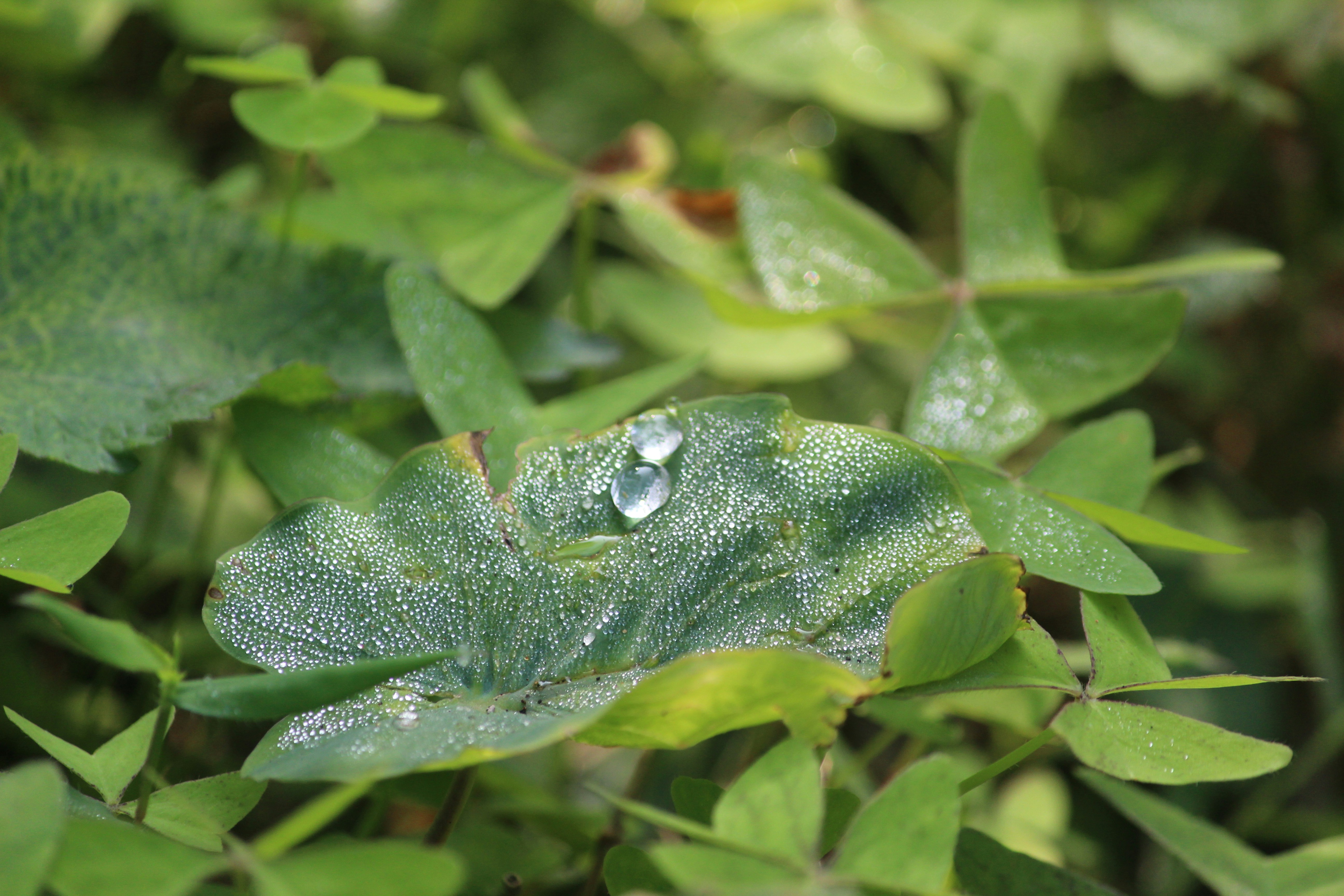 Photo by artist_anubhav1