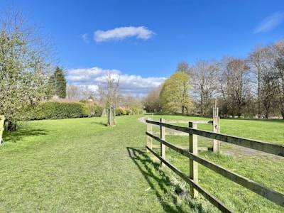 A sunny plot of land bordered by native trees and distant mountains.