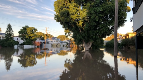 A residential area is significantly flooded with water, submerging roads and partially covering lawns. Trees and houses are reflected in the still floodwater, and the scene is lit by soft, warm sunlight, suggesting either morning or late afternoon. Electricity poles are visible, and the lush green foliage contrasts with the calm water surface.