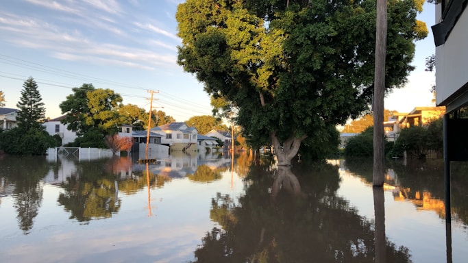 A residential area is significantly flooded with water, submerging roads and partially covering lawns. Trees and houses are reflected in the still floodwater, and the scene is lit by soft, warm sunlight, suggesting either morning or late afternoon. Electricity poles are visible, and the lush green foliage contrasts with the calm water surface.