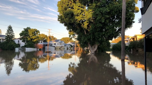 A residential area is significantly flooded with water, submerging roads and partially covering lawns. Trees and houses are reflected in the still floodwater, and the scene is lit by soft, warm sunlight, suggesting either morning or late afternoon. Electricity poles are visible, and the lush green foliage contrasts with the calm water surface.