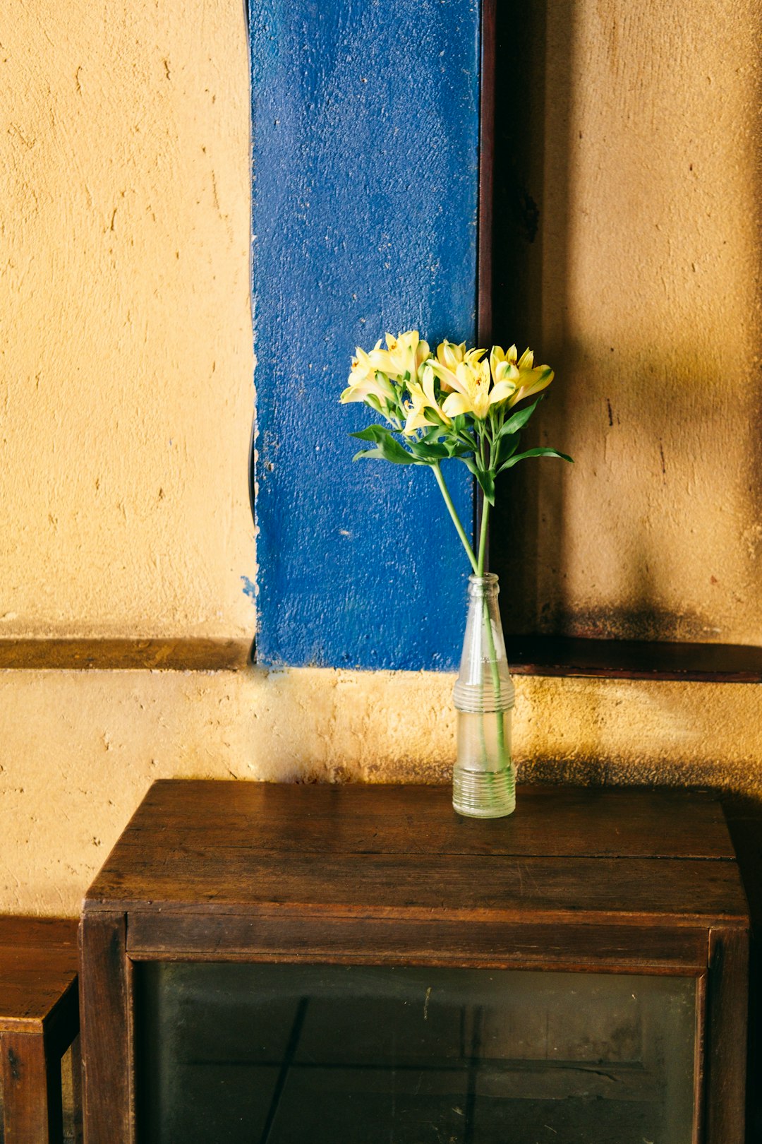 blue flowers in clear glass vase on brown wooden table