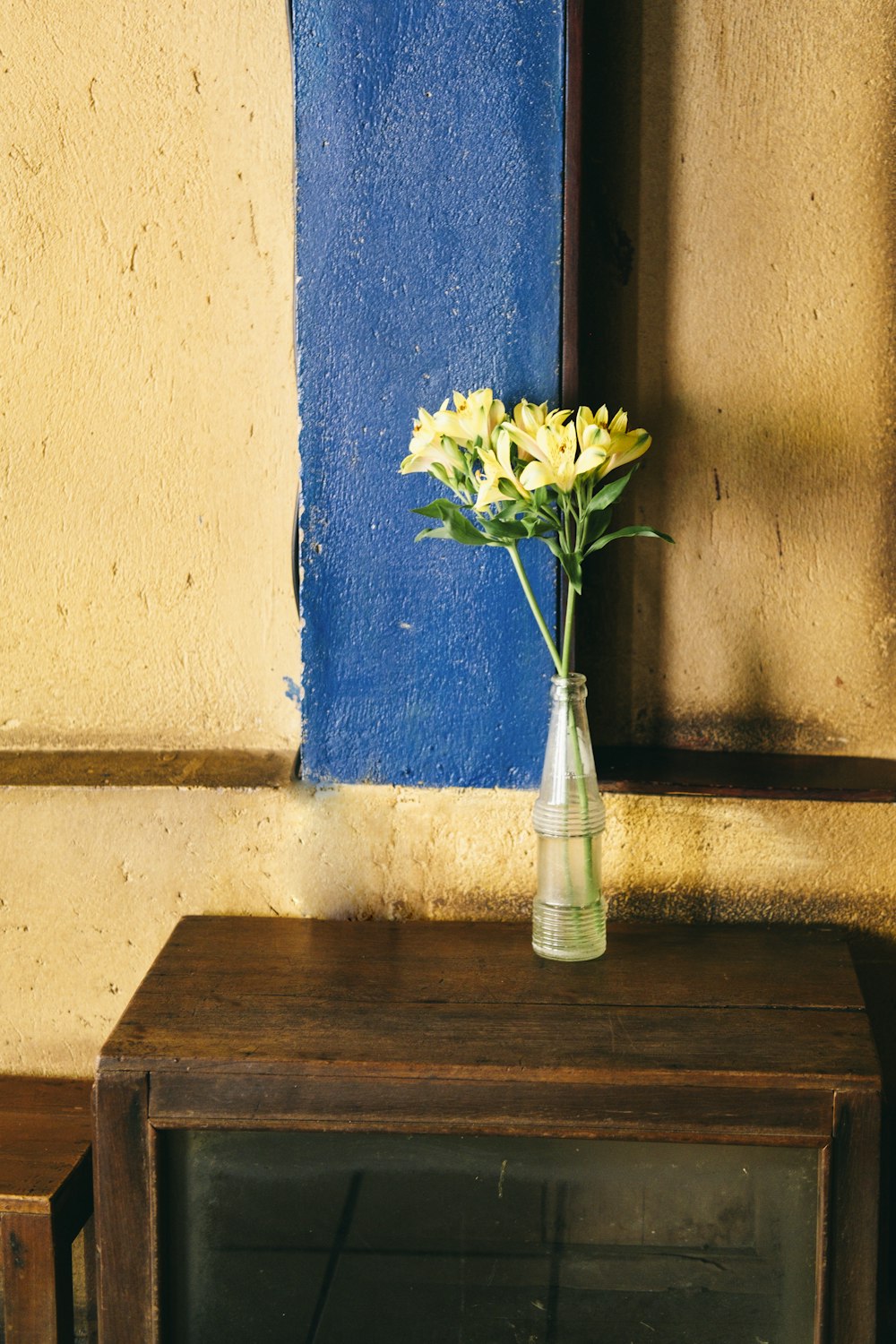 blue flowers in clear glass vase on brown wooden table