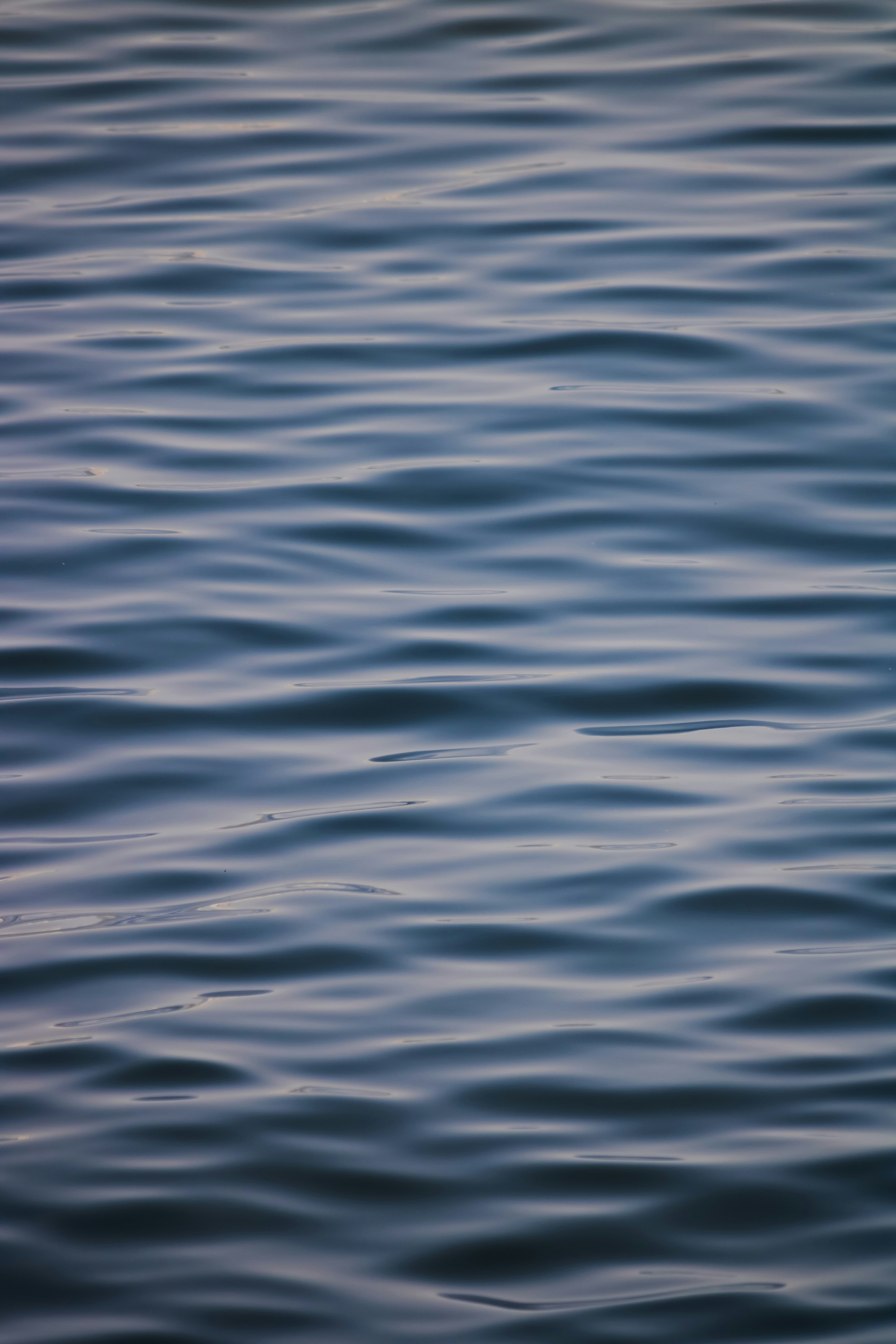 Photo by _nairgraphy