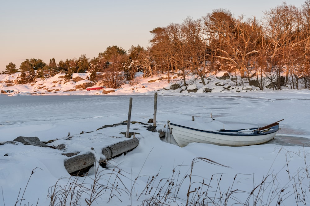 white boat on body of water during daytime