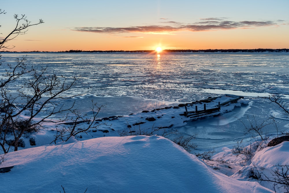 bare tree on snow covered ground during sunset