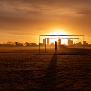 silhouette of person standing on field during sunset