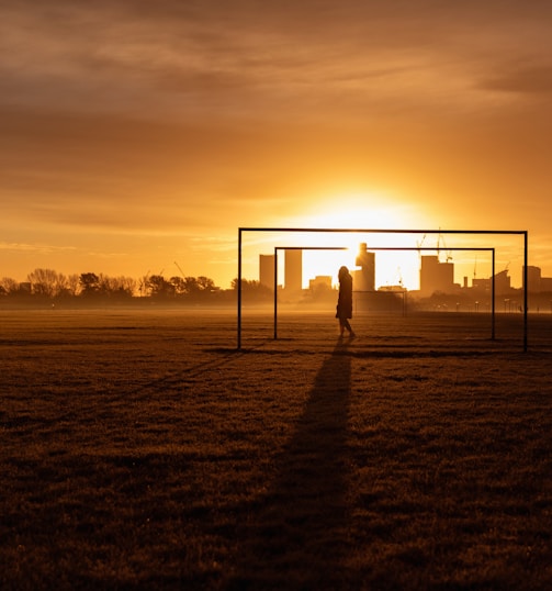 silhouette of person standing on field during sunset