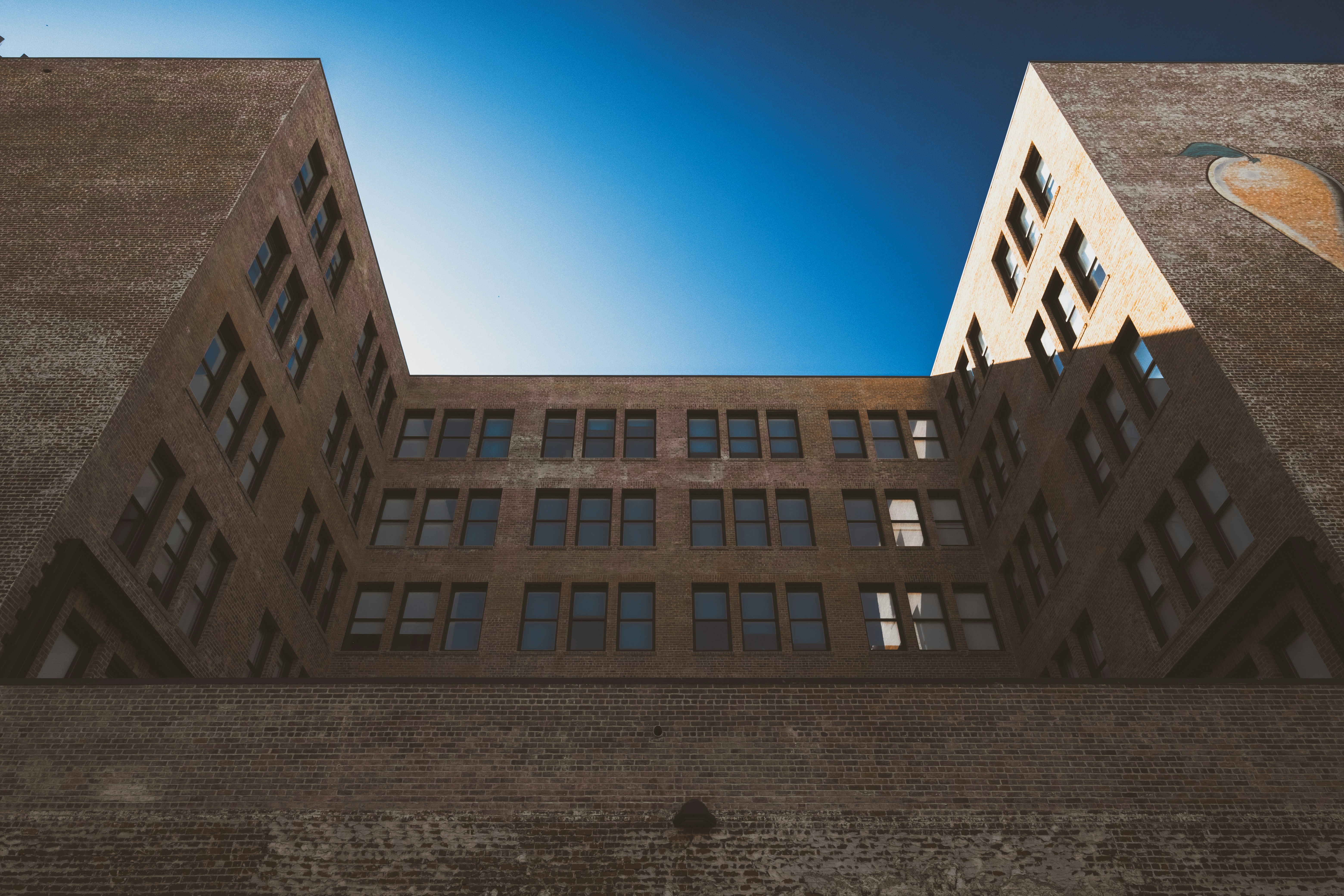 Photo by parsoakhorsand