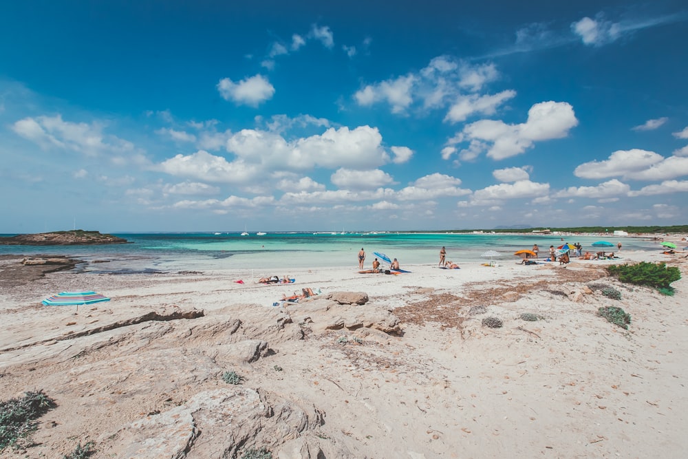 personnes sur la plage pendant la journée