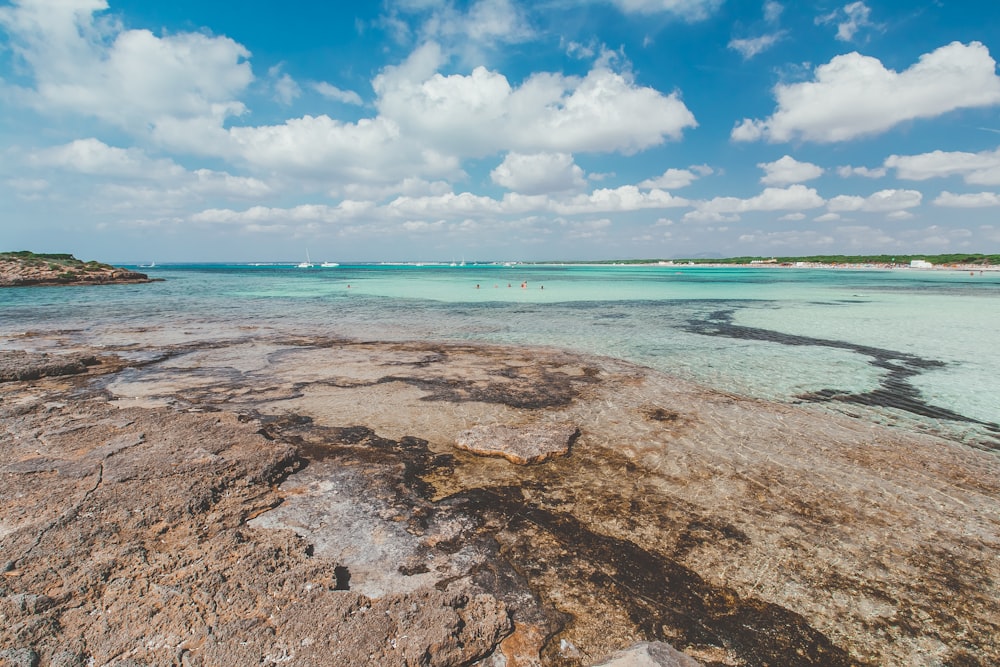 brown sand near body of water during daytime