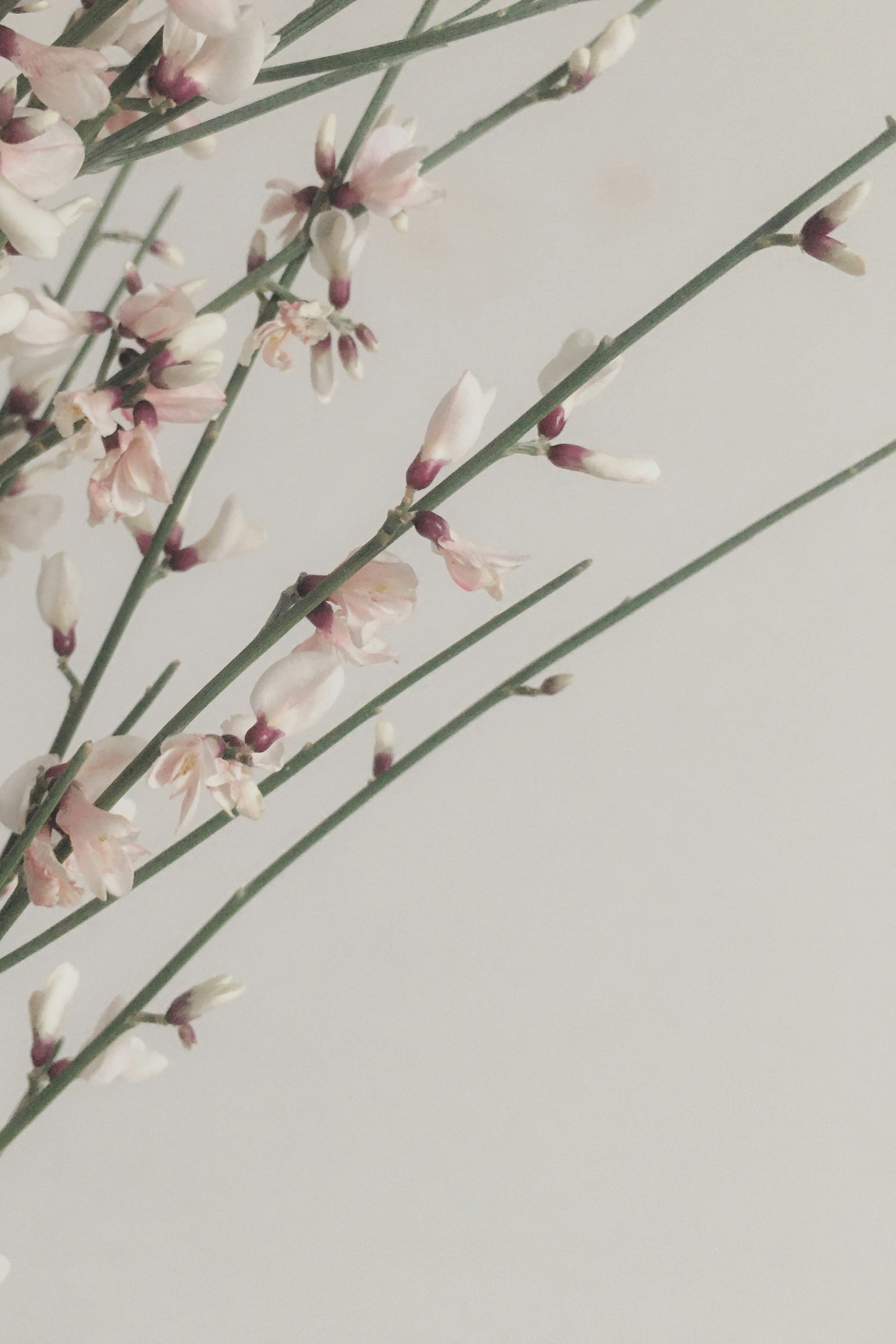 Photo by yaoqiqiqilai