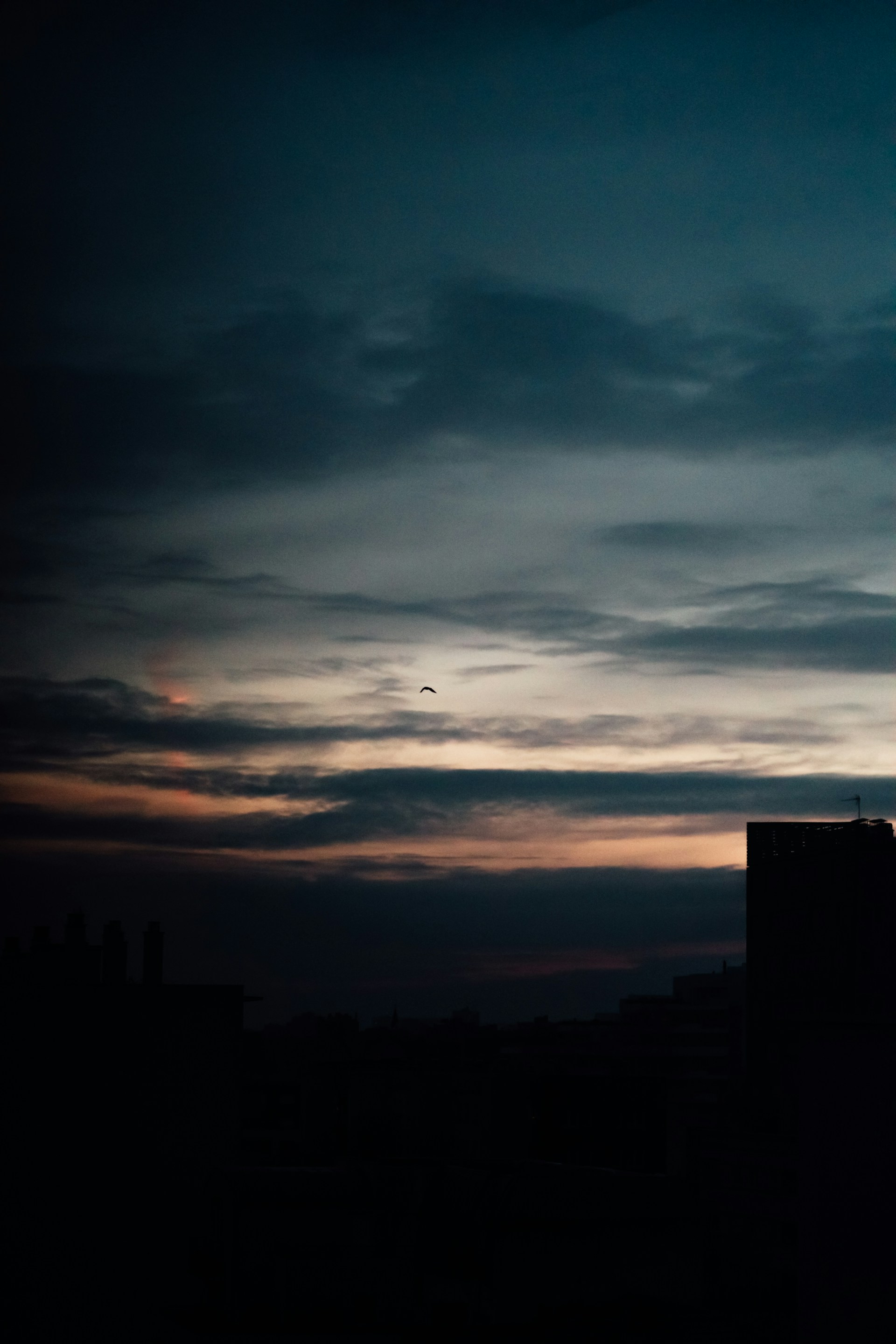 A moody, cinematic shot of a city skyline at dusk, with glowing lights and dramatic clouds.