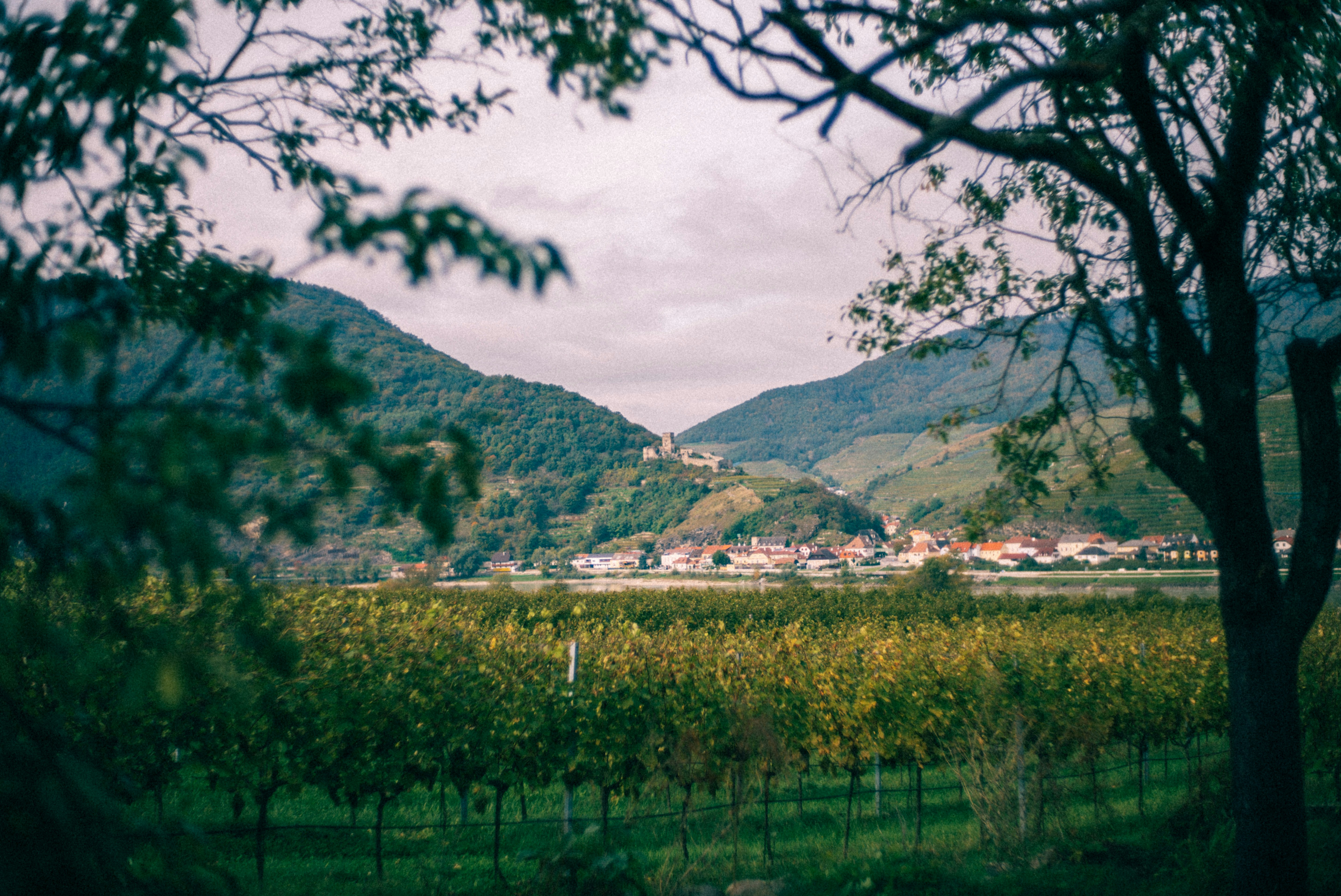 Photo by joergbauer
