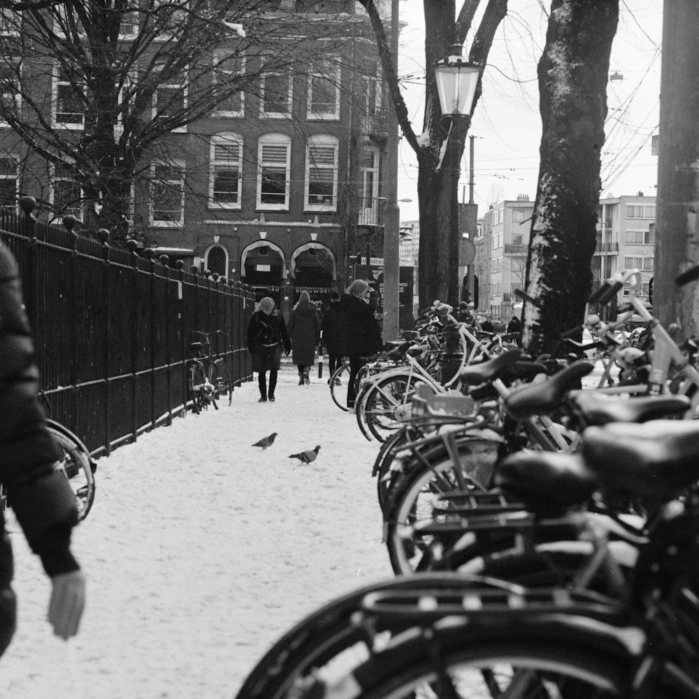 grayscale photo of people riding bicycles on road