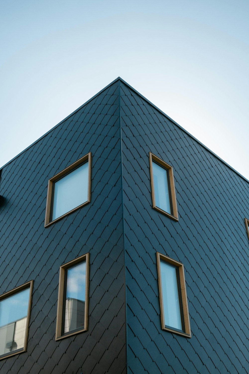 Edificio de hormigón negro con ventanas de cristal