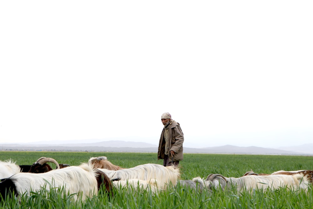 man in brown jacket standing on white and brown horse during daytime