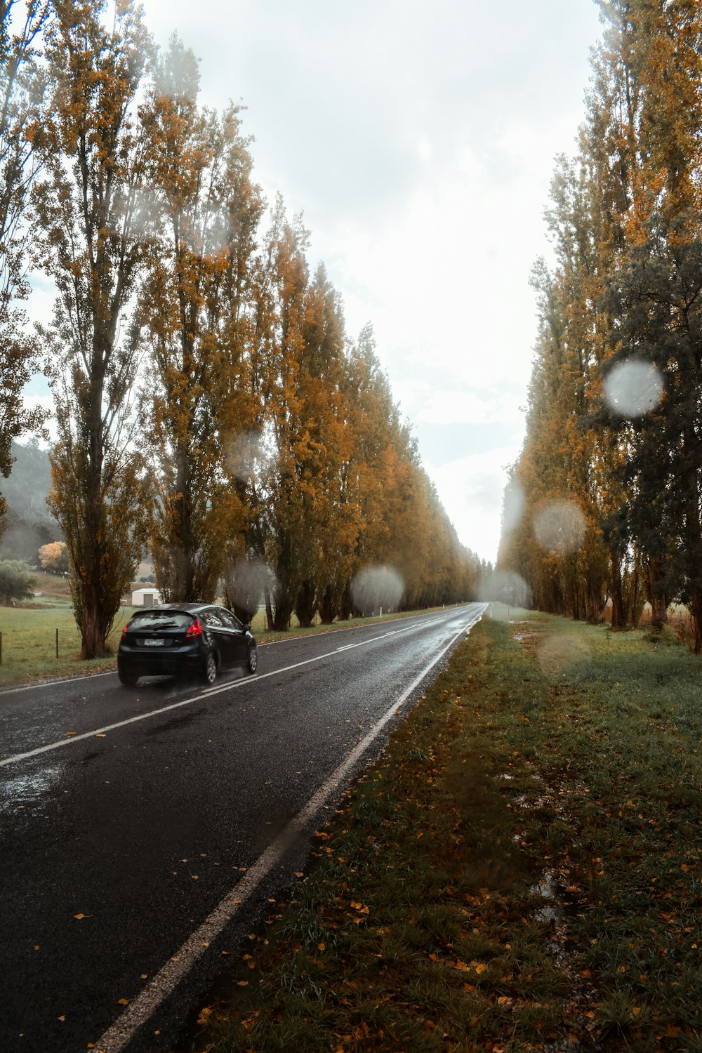 black car on road during daytime