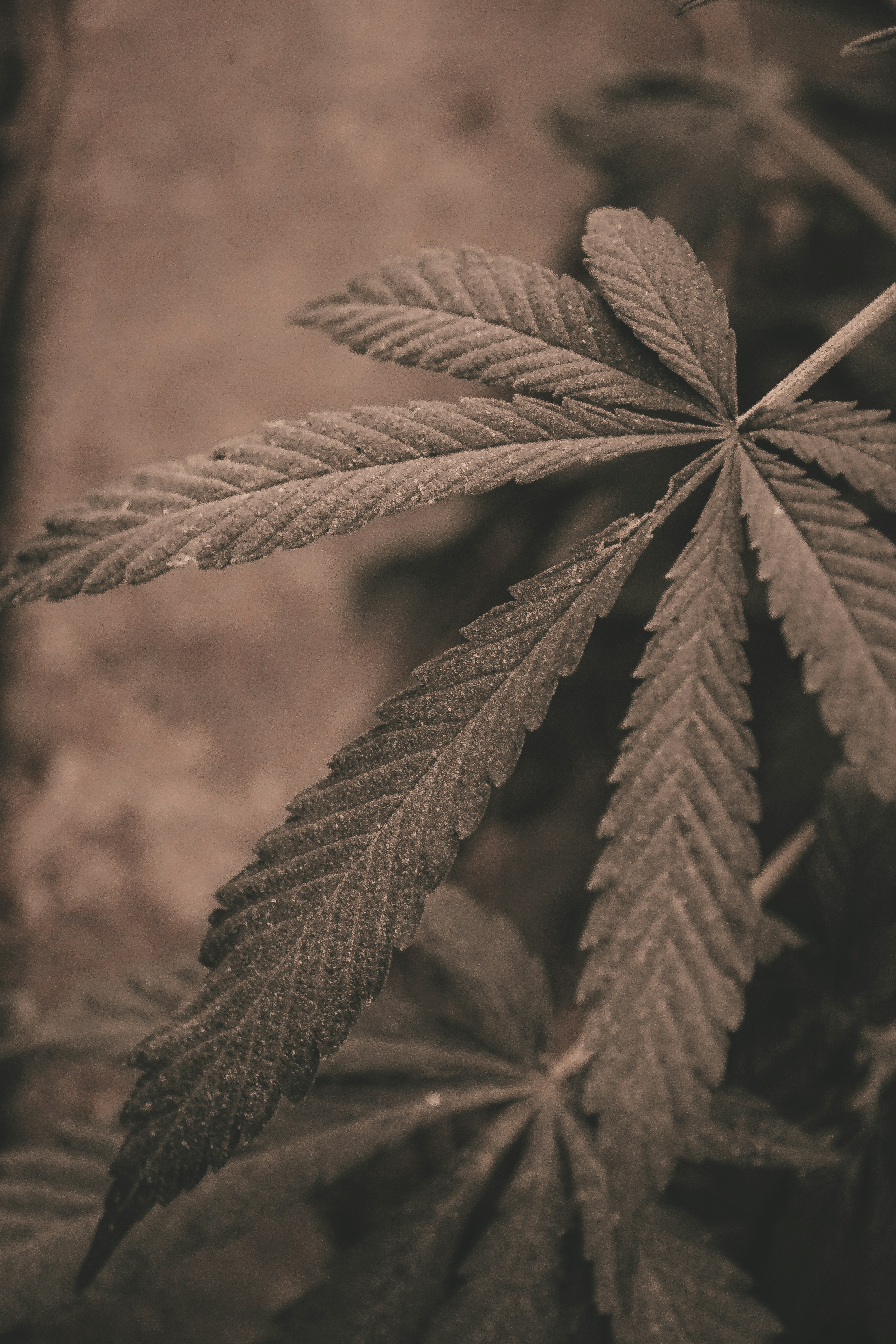 Photo by daniel_joshua_