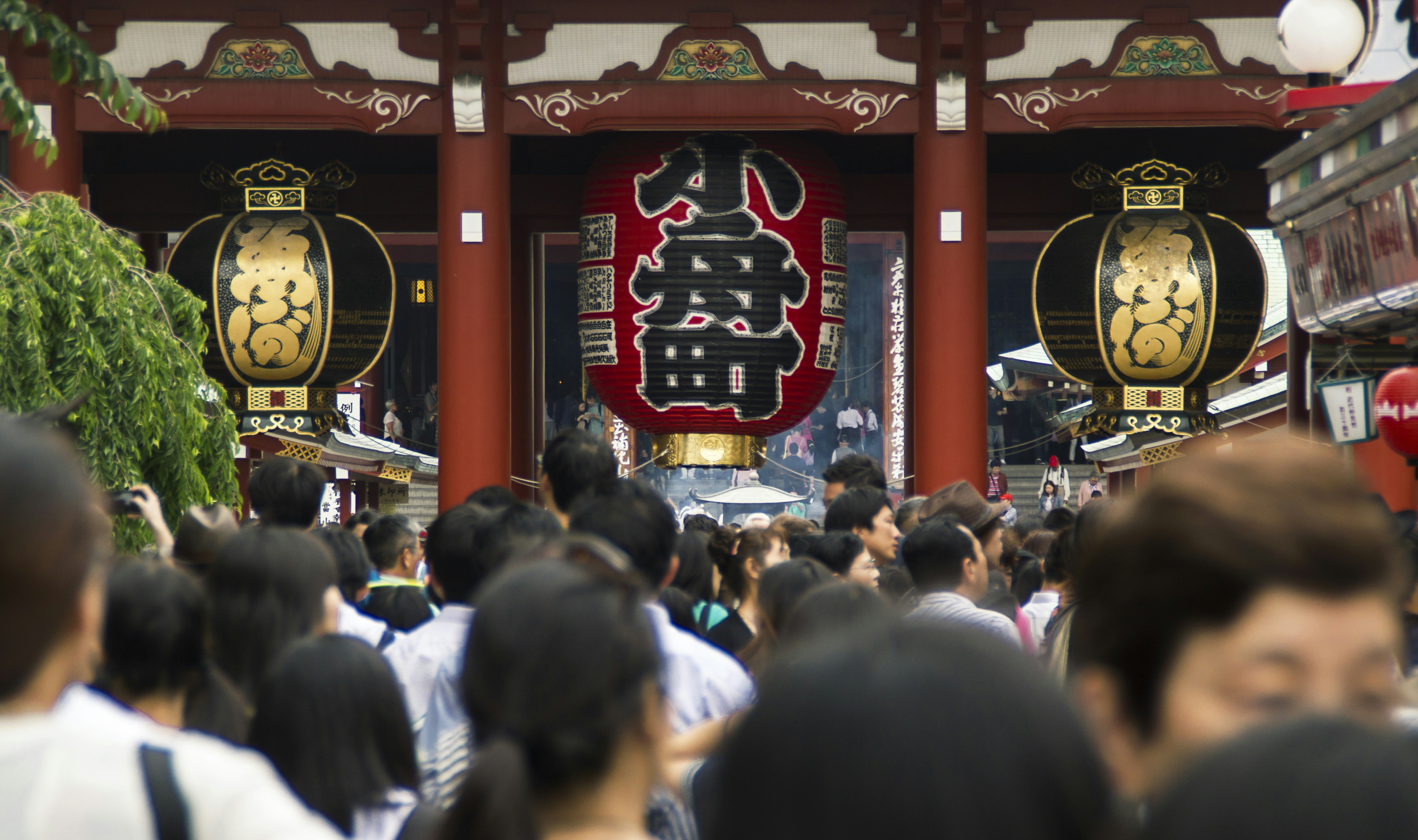 Photo by aleermejo_inwind_it