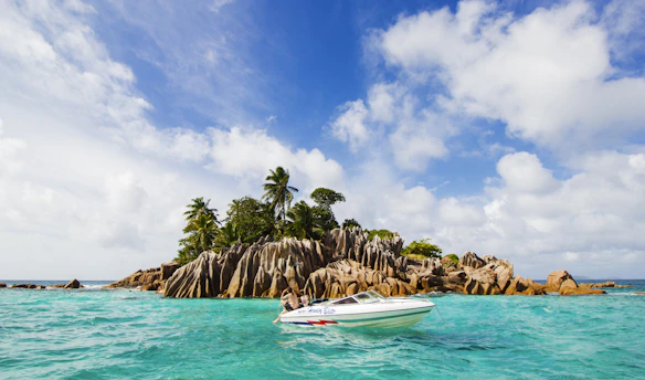 white and blue boat on sea near green palm trees during daytime