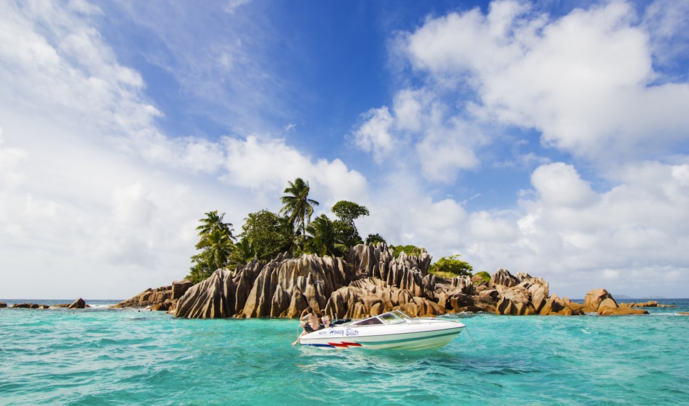 Barca bianca e blu sul mare vicino alle palme verdi durante il giorno