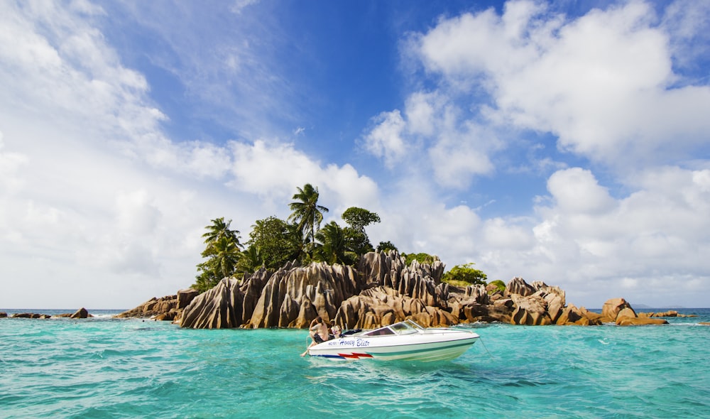 white and blue boat on sea near green palm trees during daytime