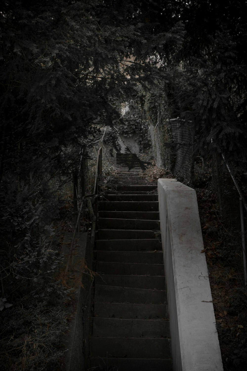 gray concrete staircase near green trees