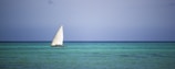 A sailboat drifting peacefully on turquoise waters near a sandy beach.