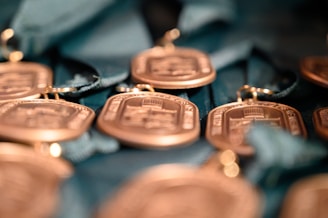 A collection of bronze medals with detailed engravings, placed on a soft fabric background. The focus is on the medals, capturing their intricate designs and metallic sheen.