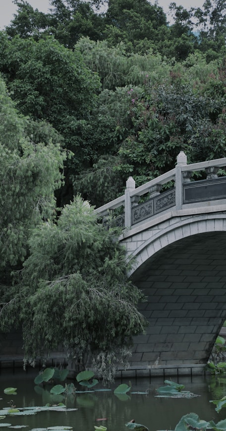 gray concrete bridge surrounded by green trees