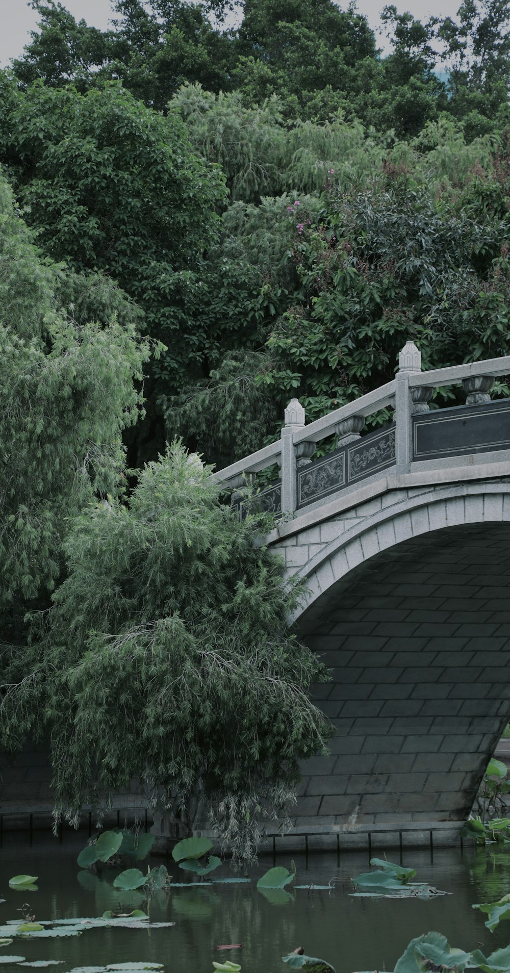 Graue Betonbrücke umgeben von grünen Bäumen