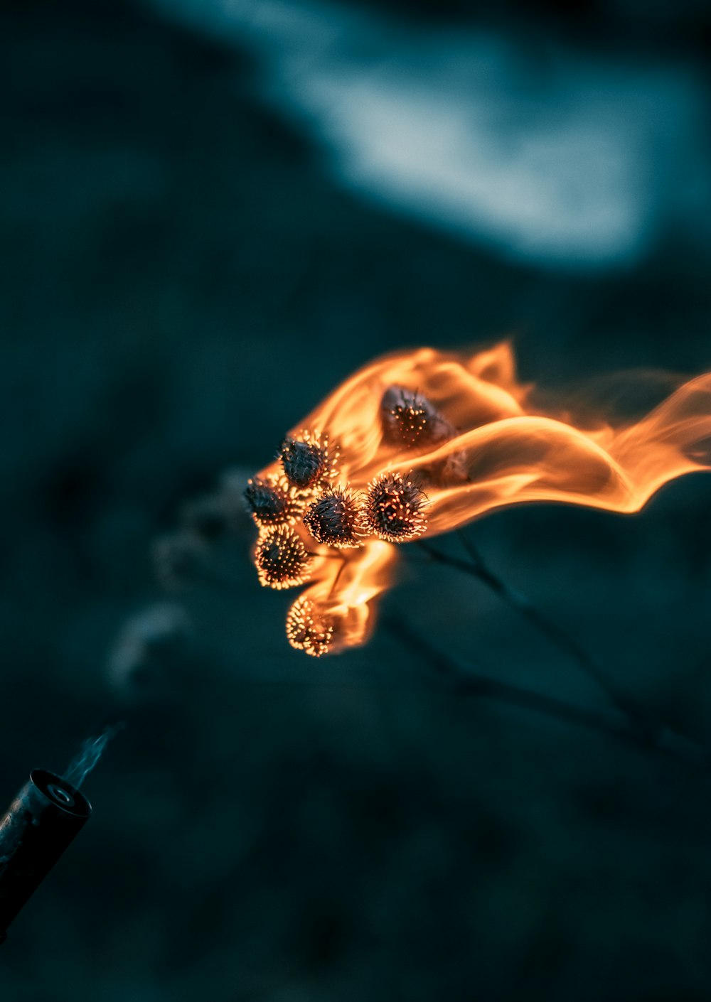 fire in close up photography