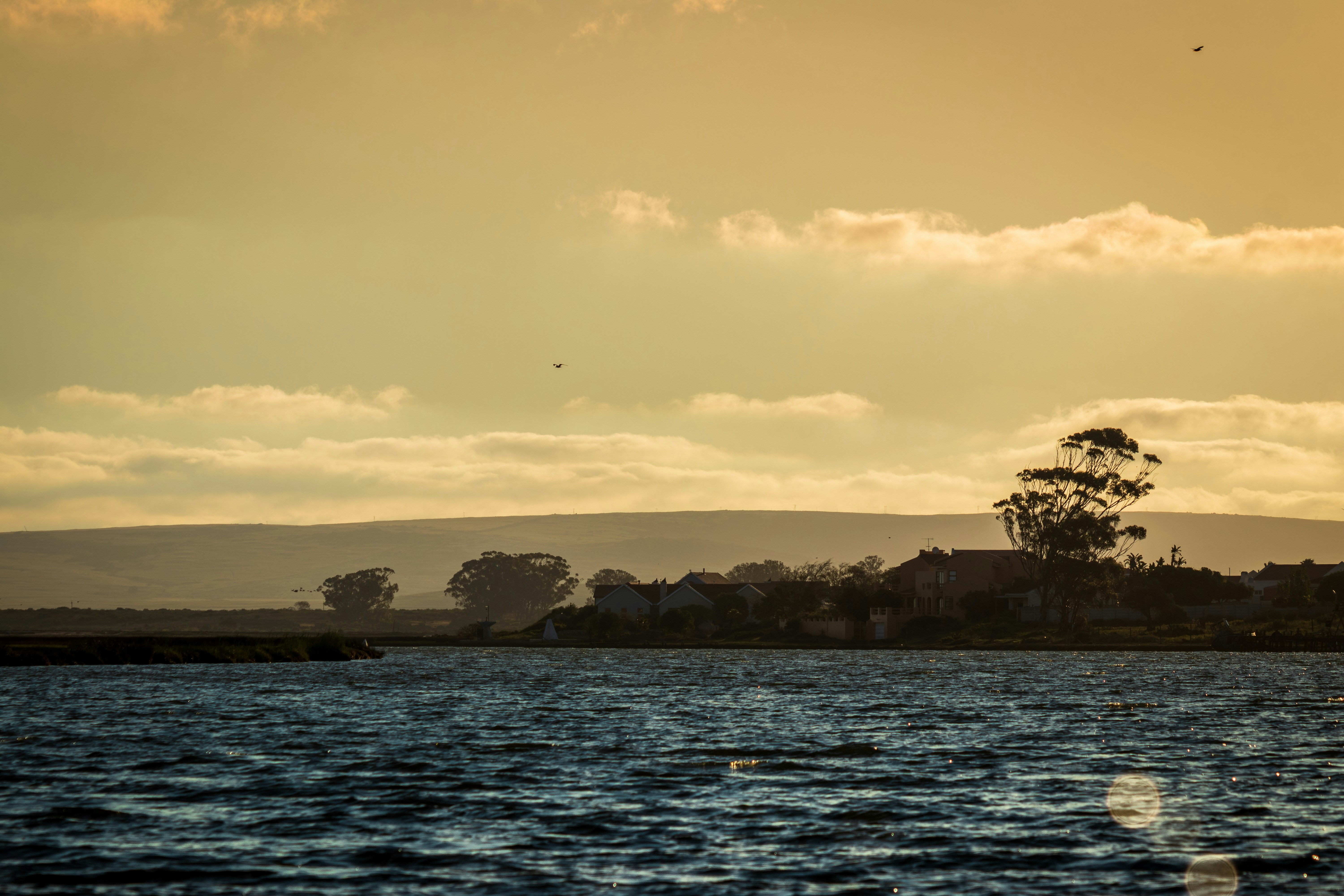 body of water near trees during sunset