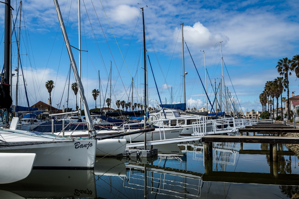 white sail boats on dock during daytime